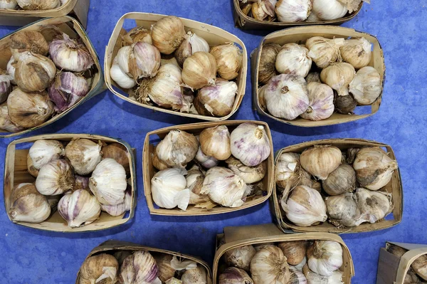 Garlic — Stock Photo, Image