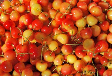 Turuncu Kırmızı Kiraz