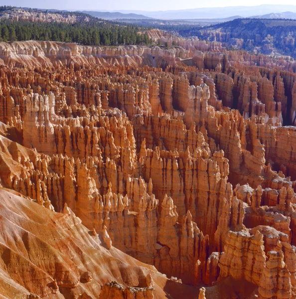 Bryce amfitheater tijdens zonsopgang — Stockfoto