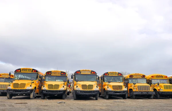 Línea de autobús escolar — Foto de Stock