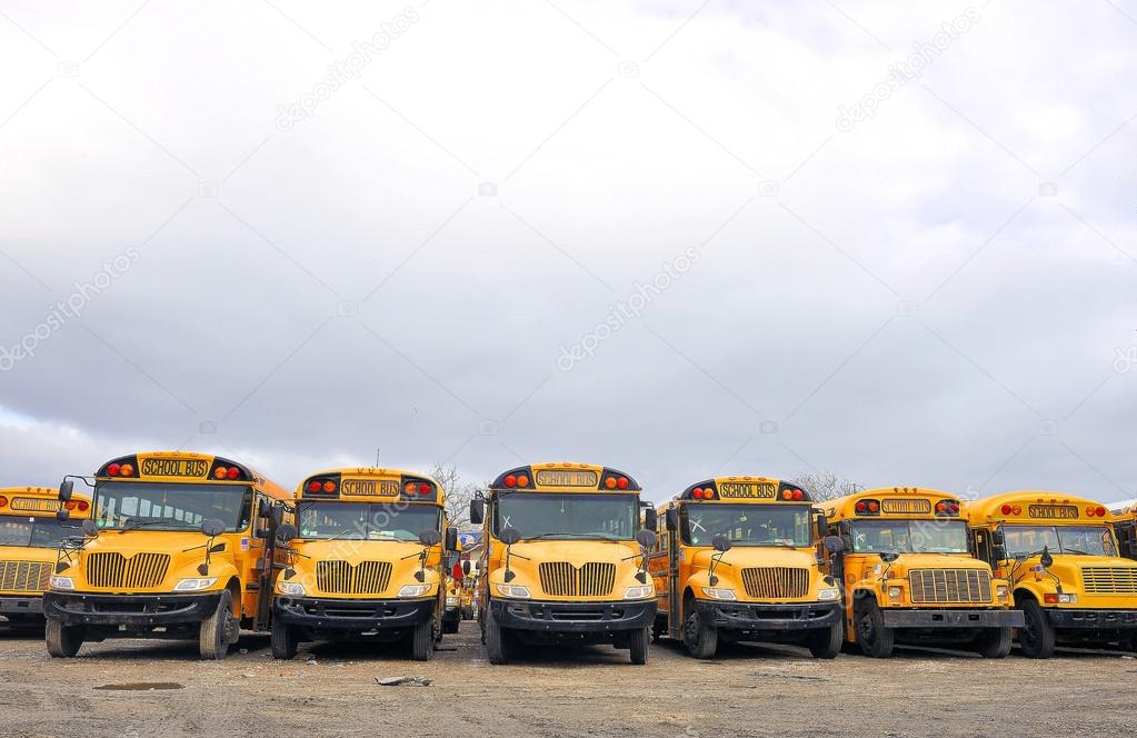 School Bus Lineup