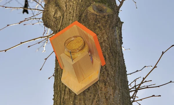 Birdhouse w drzewo — Zdjęcie stockowe