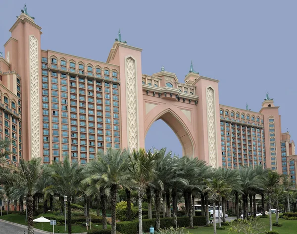 Atlantis palm — Zdjęcie stockowe