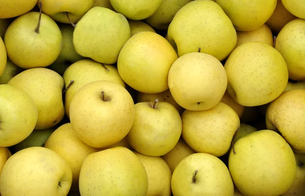 Manzanas amarillas — Foto de Stock