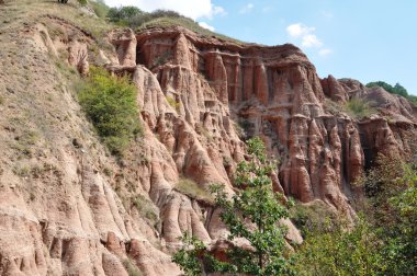 Rapa Rosie Sebes Alba