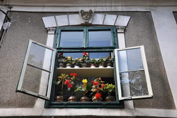 Altbau-Fenster — Stockfoto