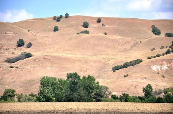 Landschaft — Stockfoto