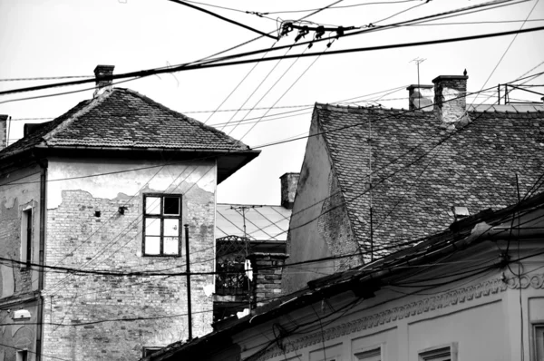 Cluj eski şehir kurma — Stok fotoğraf