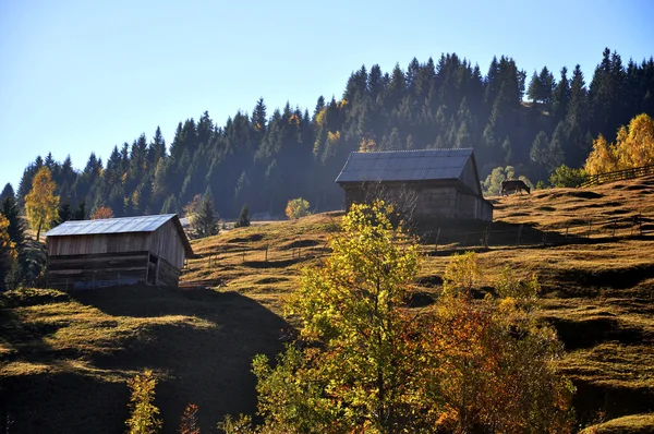 Landscape — Stock Photo, Image