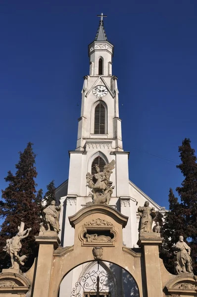 Церковь Святого Петра в Клуже — стоковое фото