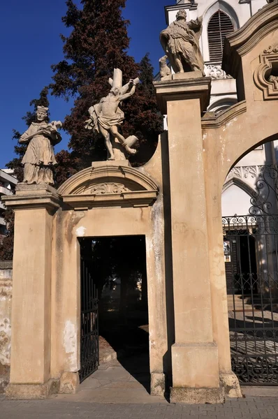 Cluj Chiesa di San Pietro - Dettaglio — Foto Stock