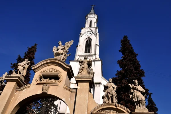 Cluj Chiesa di San Pietro - Dettaglio — Foto Stock