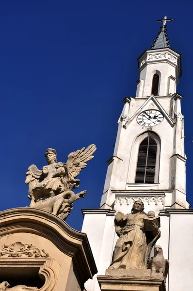 Cluj Igreja de São Pedro - Detalhe — Fotografia de Stock