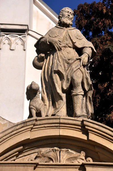 Cluj svatého Petra církev - detail — Stock fotografie