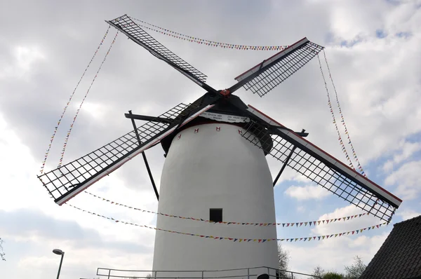 Windmolen — Stockfoto