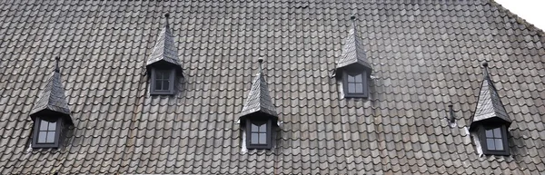 Historisches Gebäude - Dach — Stockfoto