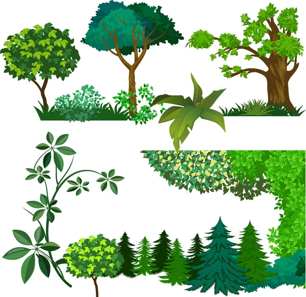 Trees — Stock Vector