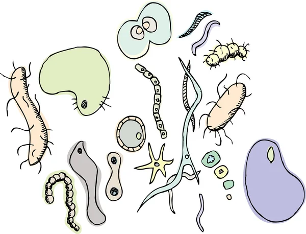 Varias bacterias — Archivo Imágenes Vectoriales