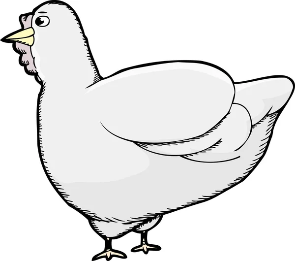 Carina gallina — Vettoriale Stock