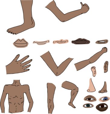 Isolated Body Parts clipart
