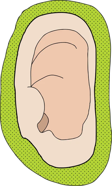 Зеленое ухо — стоковый вектор