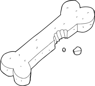 yarı köpek kemik yemiş