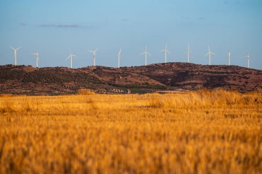 Rüzgar türbinleri, yeni hasat edilmiş buğday tarlası körüğüyle bir rüzgar çiftliğinin elektrik üretimi için..