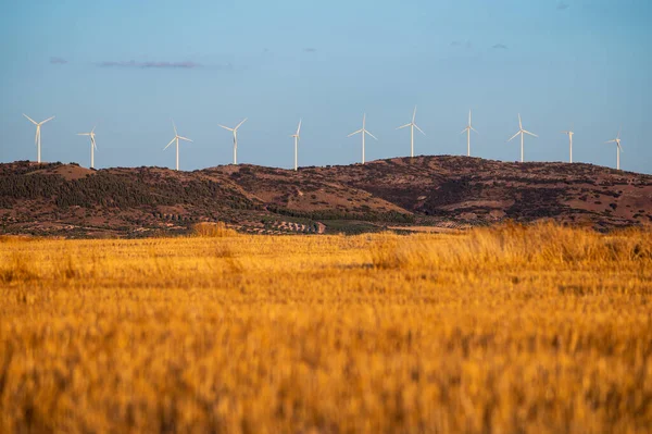Rüzgar türbinleri, yeni hasat edilmiş buğday tarlası körüğüyle bir rüzgar çiftliğinin elektrik üretimi için..