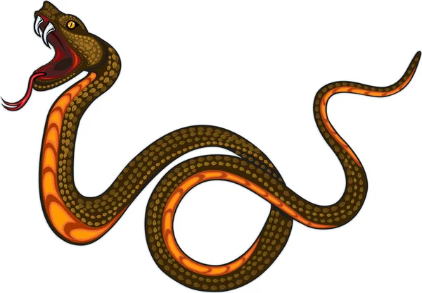 Serpente Víbora Design Tatuagem Colorida —  Vetores de Stock