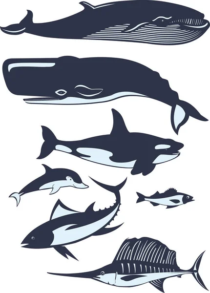 Sea Fish Mammal Set — Stock Vector