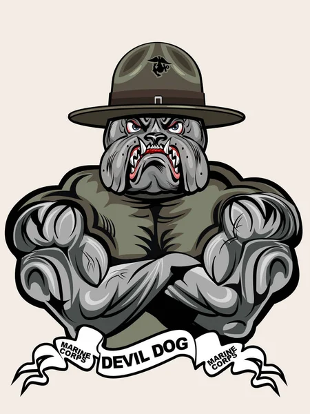 Bulldog Militar Fuzileiro Naval Cão Diabo — Fotografia de Stock