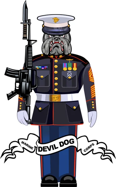 Katonai Bulldog Tengerészgyalogság Ördög Kutya — Stock Fotó