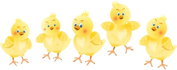 Pollo Amarillo Pascua Sobre Fondo Blanco — Vector de stock