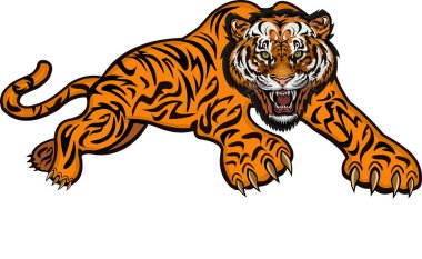 Kızgın kaplan zıplıyor. Renkli dövme