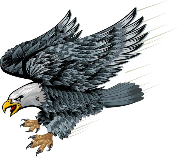 Lucha Contra Águila Calva Águila Calva Muy Agresivo — Vector de stock