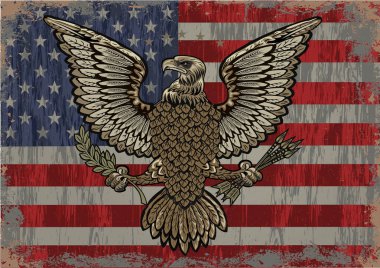 Amerikan Bayraklı Şüphe Edilebilir Kartalı