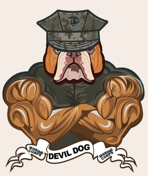 Military Bulldog Marine Corps Devil Dog — Stock Vector