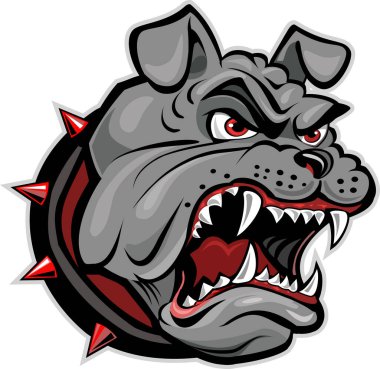 Kızgın İngiliz Bulldog 'unun başı. 