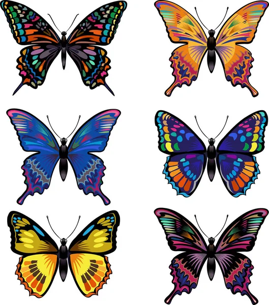 Όμορφο Τατουάζ Πεταλούδα — Διανυσματικό Αρχείο