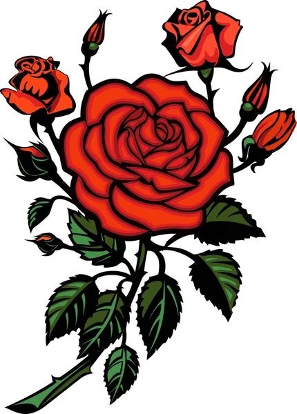 Beyaz arka planda bir buket kırmızı gül. İzole dövme.