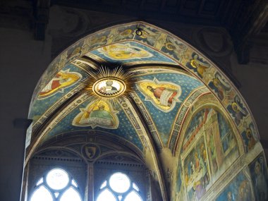 tavan rinuccini Chapel, basilica di santa croce. Floransa, İtalya