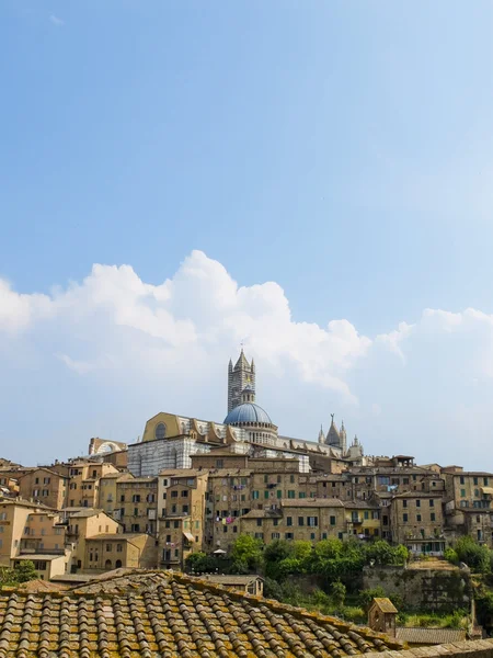 Siena widok z katedry. Siena, Włochy — Zdjęcie stockowe