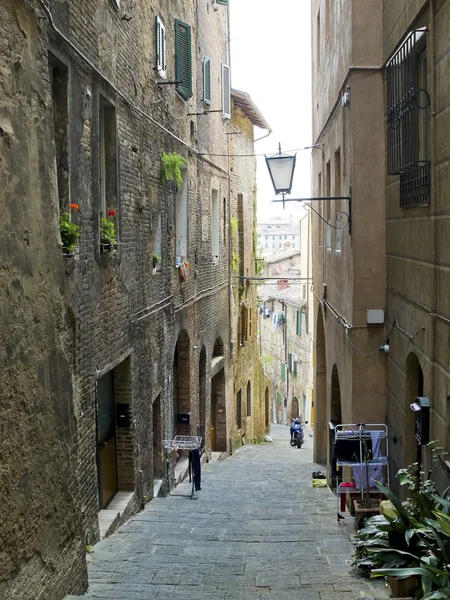Siena Sokağı. Siena, İtalya — Stok fotoğraf