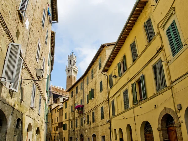 Antieke straat van sinea met mangia toren op achtergrond. Siena, Italië — Stockfoto
