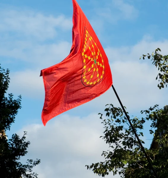 Gemenskapen av Navarra flagga. Spanien — Stockfoto