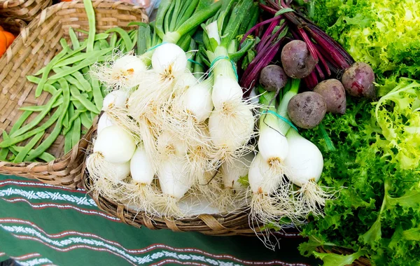 Grüne Bohnen, Rüben, Schalotten und Endivien — Stockfoto