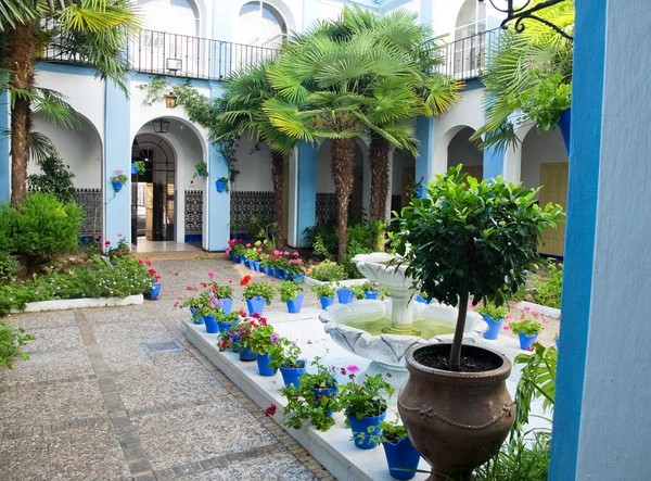 Tipico patio andaluso a Cordova, Andalusia, Spagna . — Foto Stock