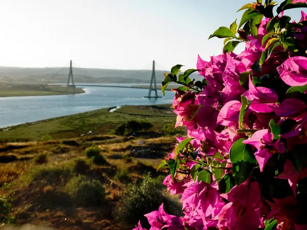 Puente Internacional del Guadiana, Pont sur la rivière Guadiana à Ayamonte, Huelva. Espagne — Photo