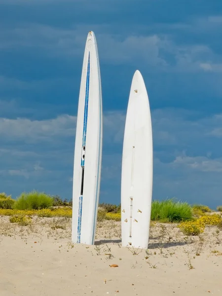 Planches de surf dans une plage . — Photo