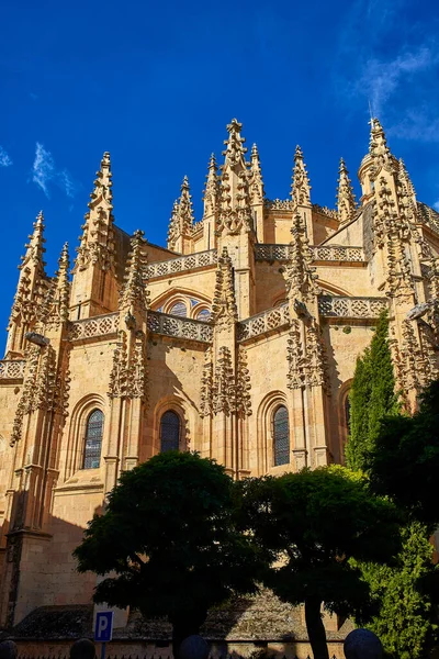Apse Tetején Csúcsok Segovia Katedrális Egy Katolikus Templom Szentelt Nagyboldogasszony — Stock Fotó
